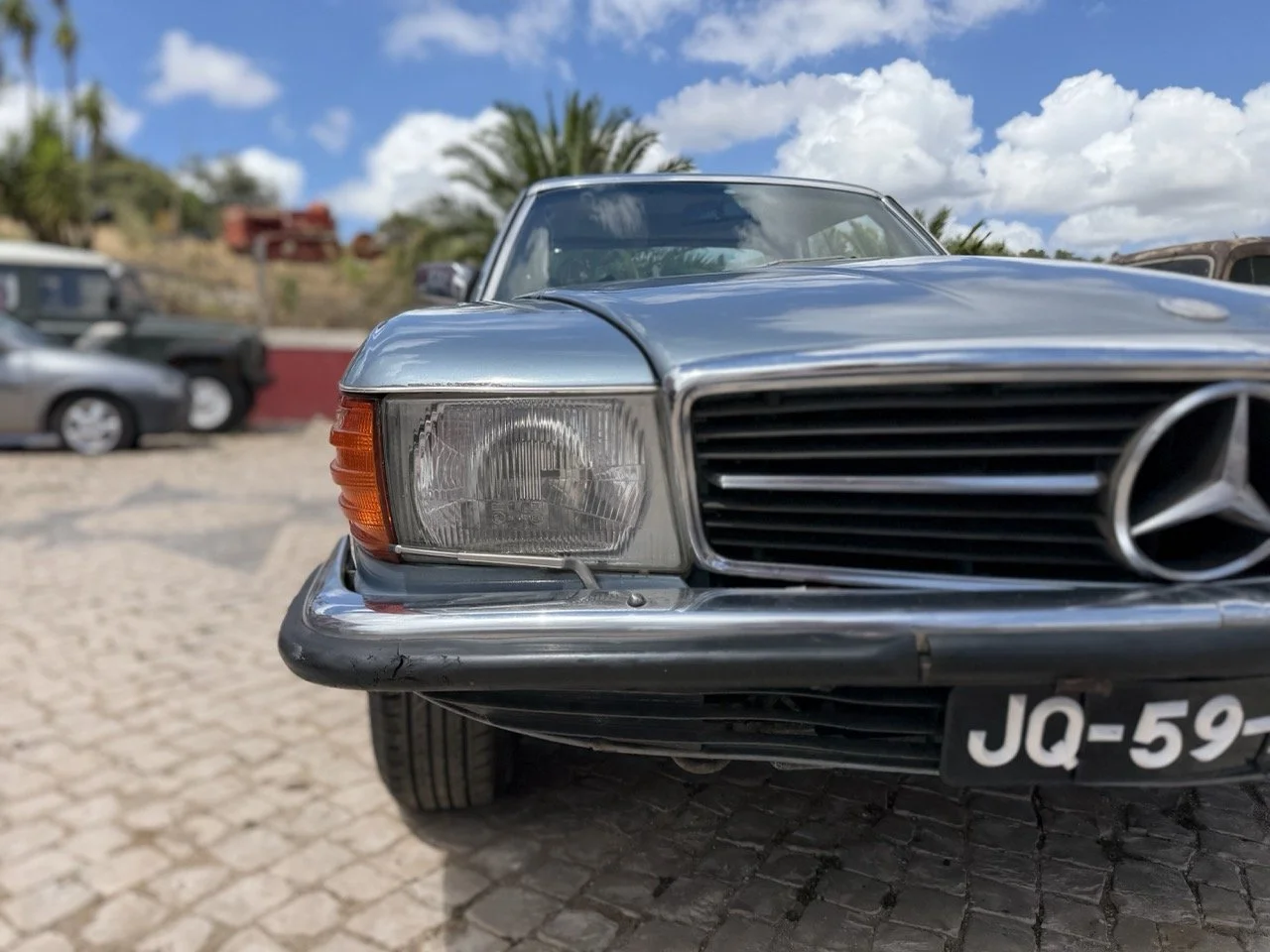 IMG_5818 – grande.jpeg