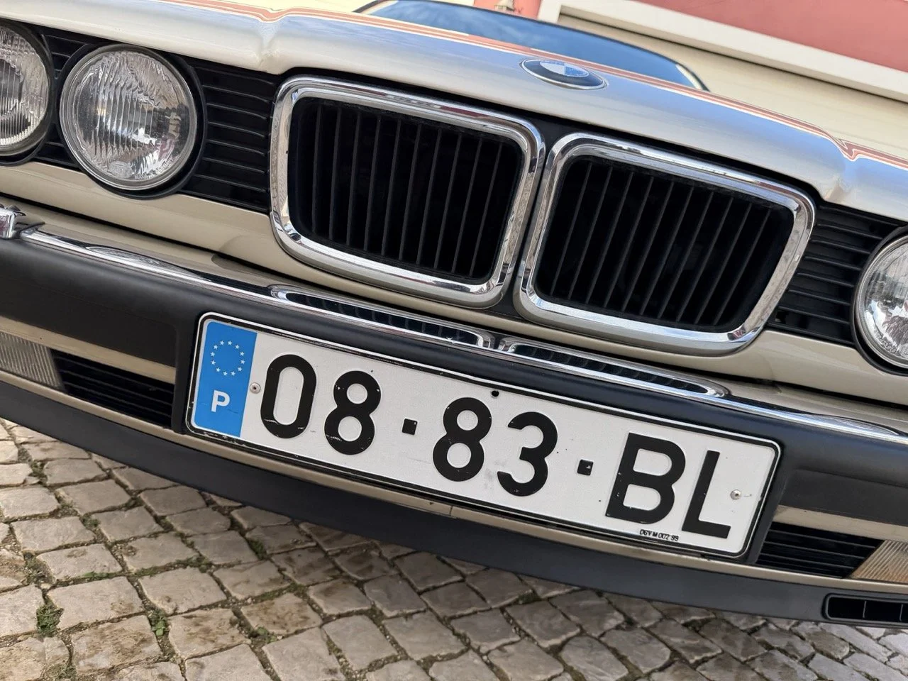 IMG_7013 2 – grande.jpeg