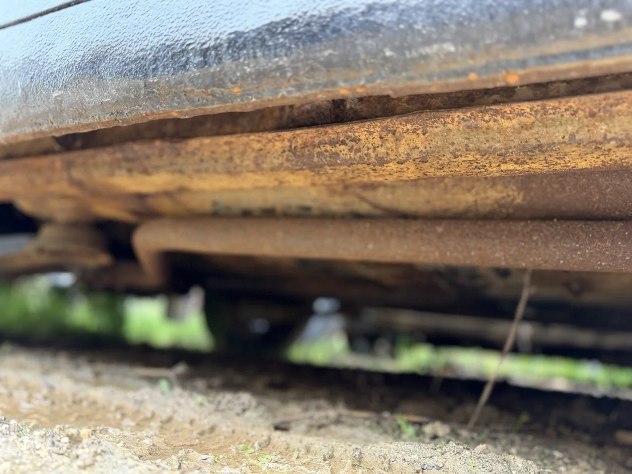 IMG_5008 – grande.jpeg