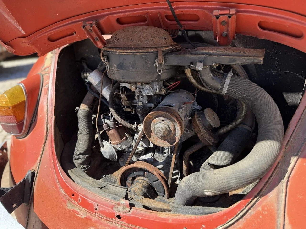 IMG_7553 – grande.jpeg