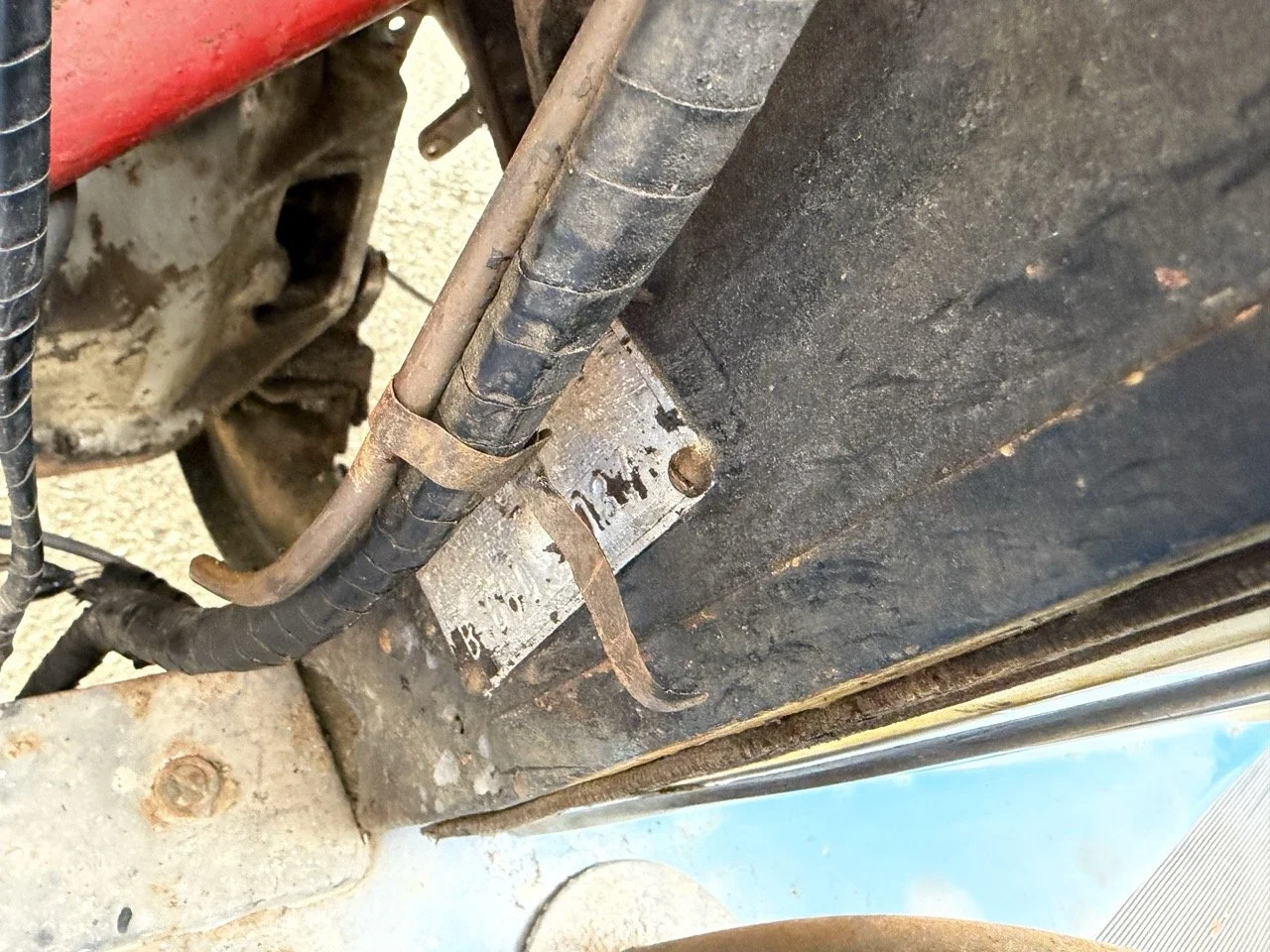 IMG_1548 – grande.jpeg