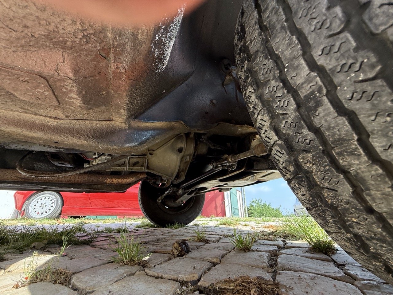 IMG_3669 – grande.jpeg