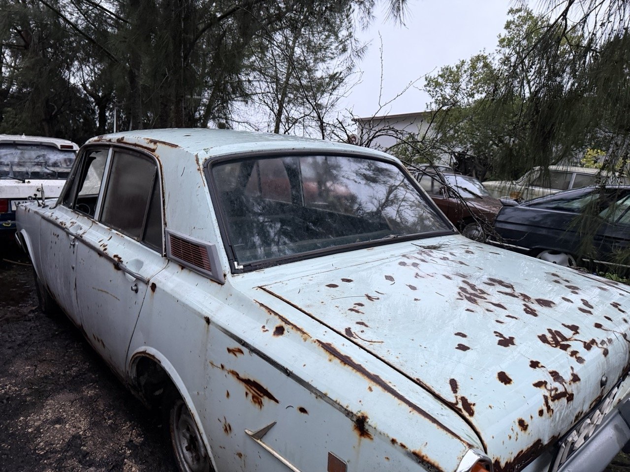 IMG_0184 – grande.jpeg