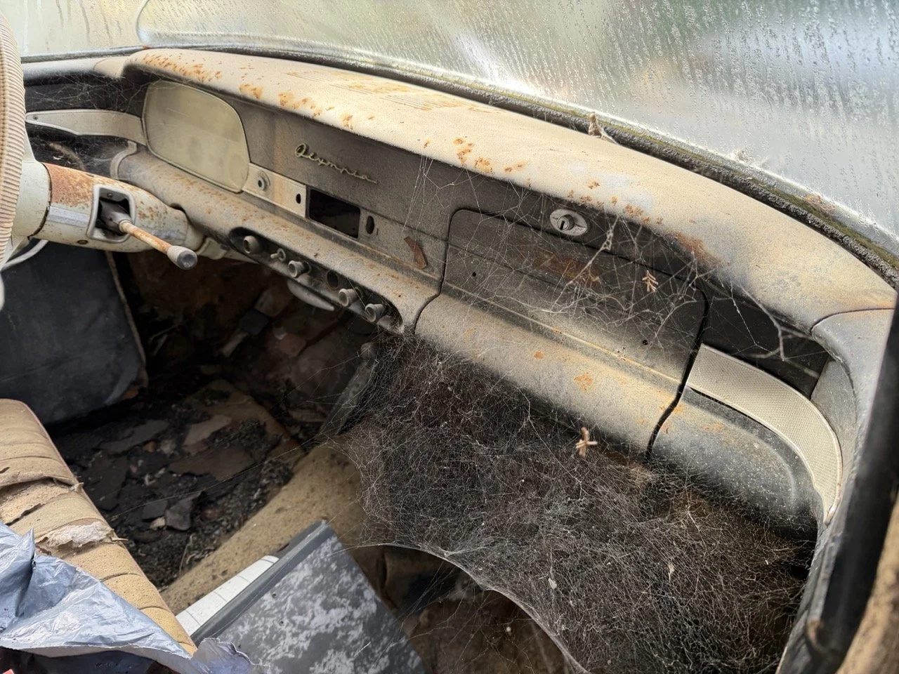 IMG_5057 – grande.jpeg