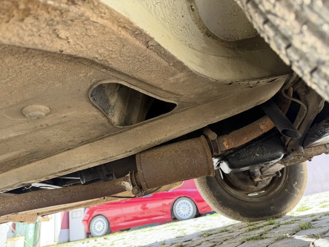 IMG_6764 – grande.jpeg