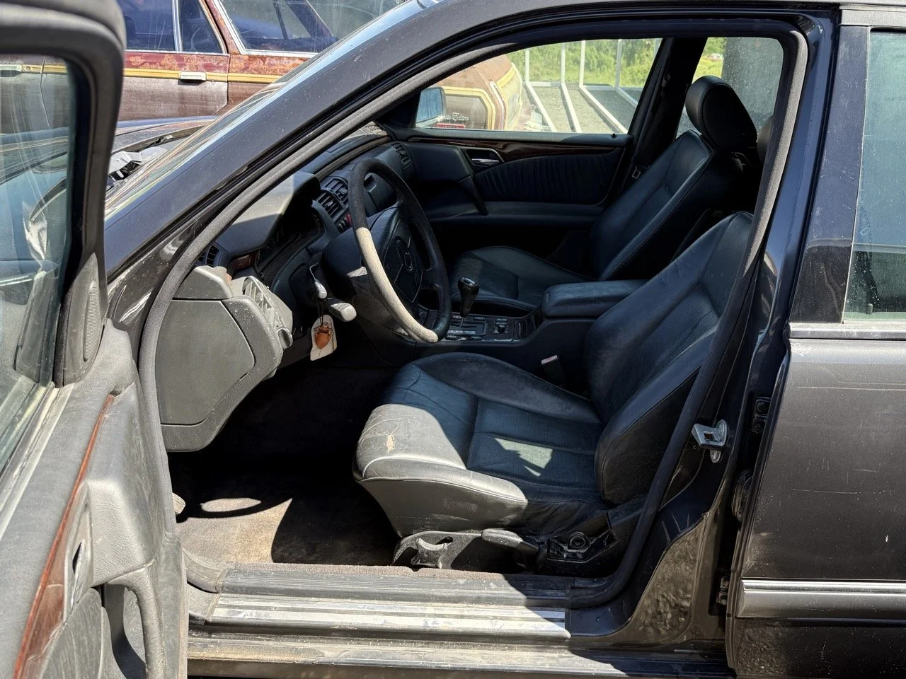 IMG_1730 – grande.jpeg