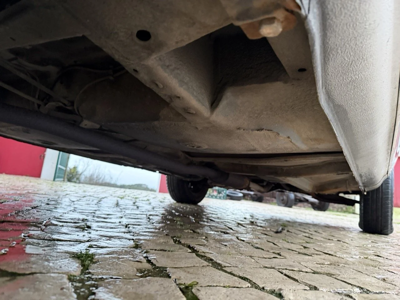 IMG_4783 3 – grande.jpeg