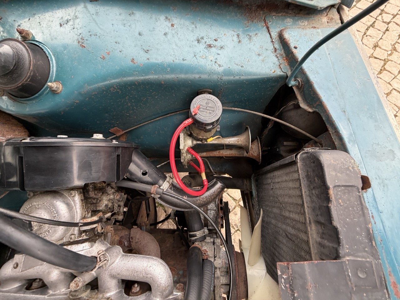 IMG_6302 – grande.jpeg