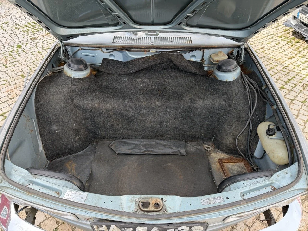 IMG_4823 – grande.jpeg