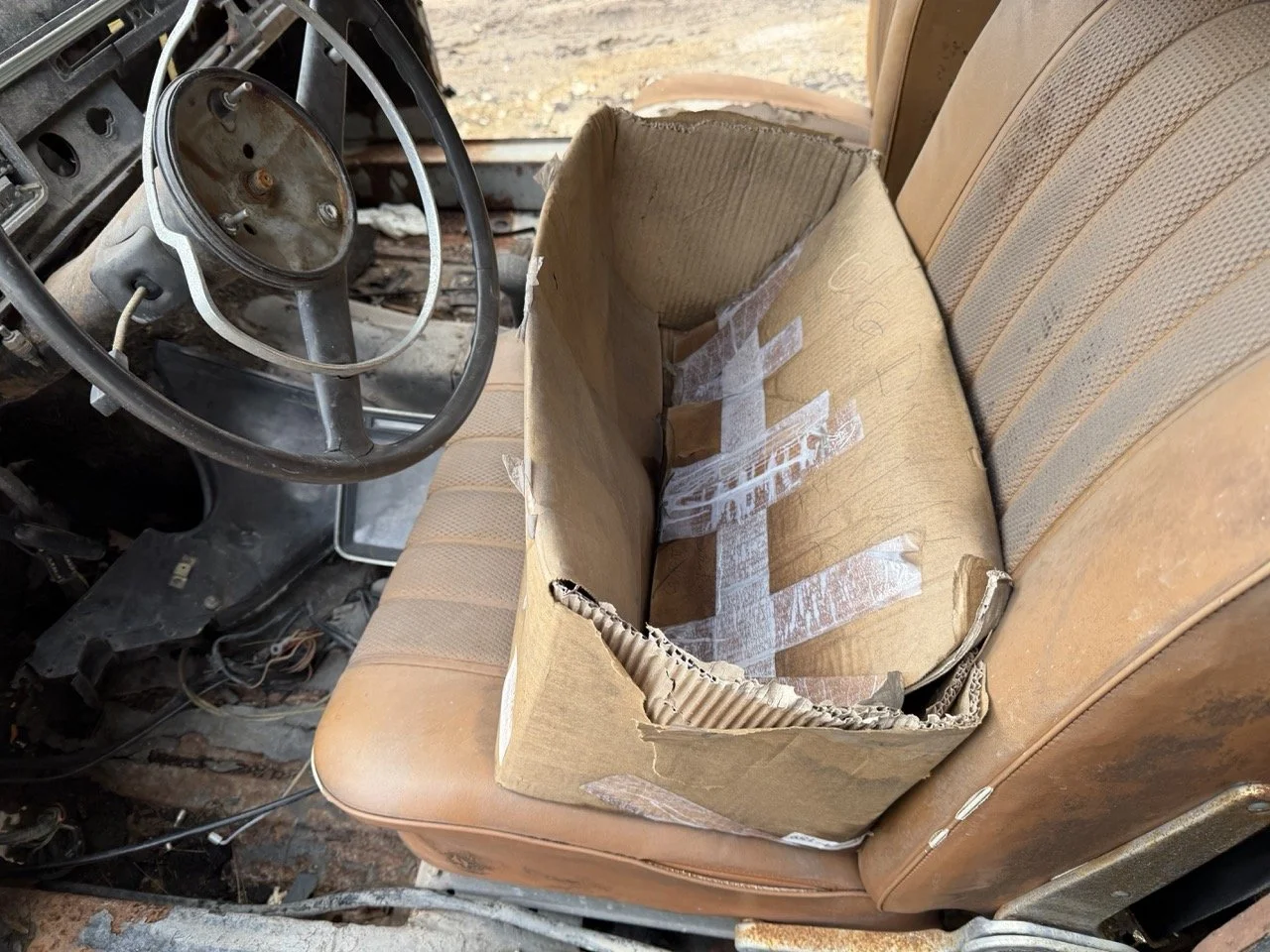 IMG_1938 – grande.jpeg