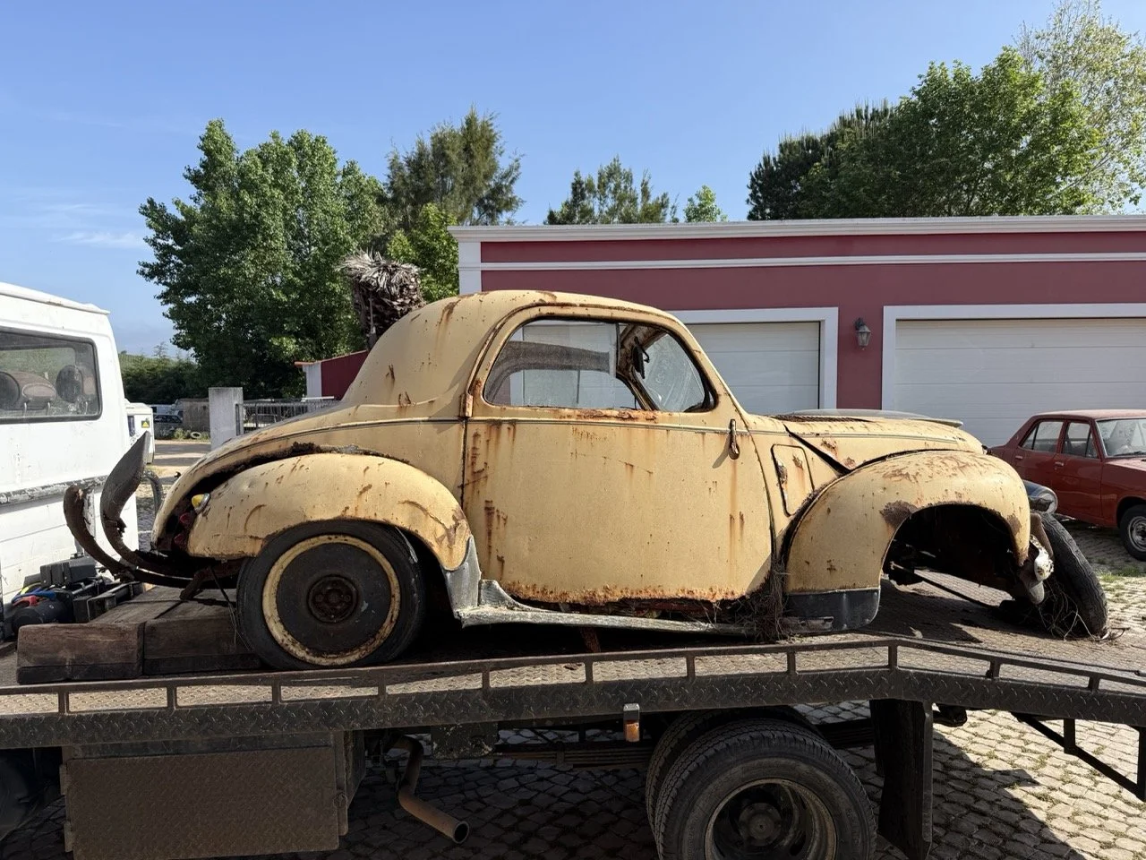 IMG_3161 – grande.jpeg