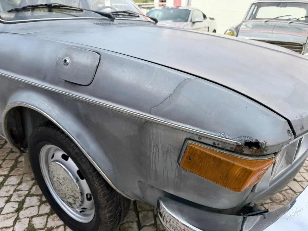 IMG_4858 – grande.jpeg