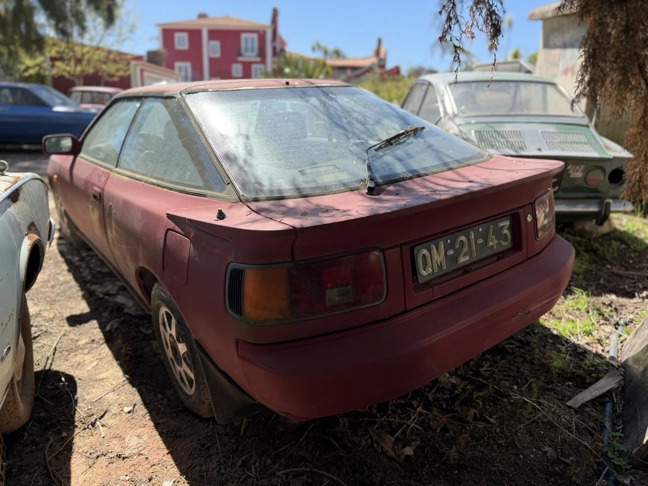 IMG_7611 – grande.jpeg