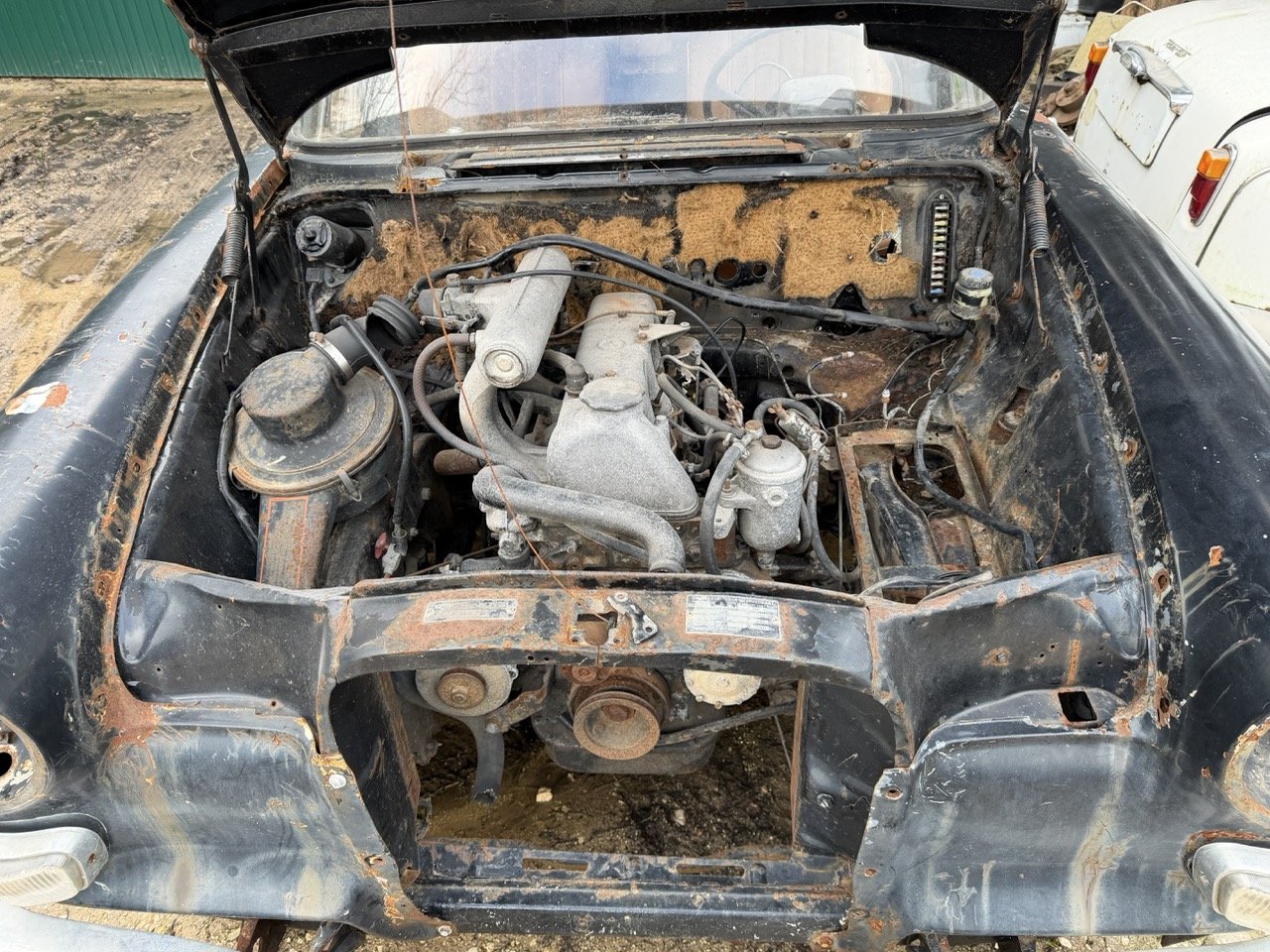 IMG_1945 – grande.jpeg