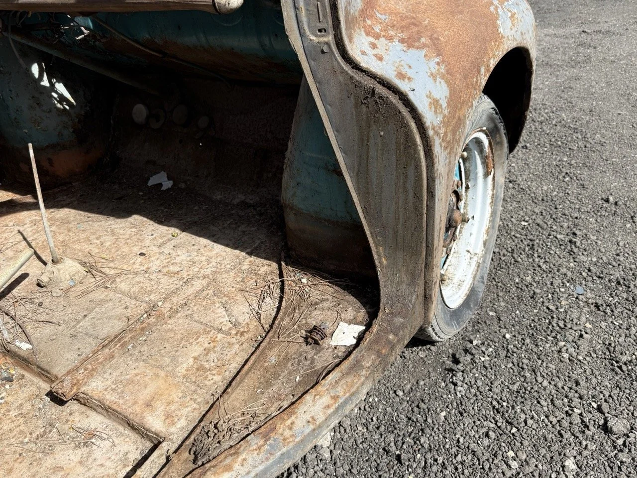 IMG_0281 – grande.jpeg