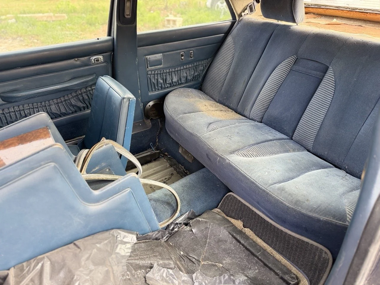 IMG_3364 – grande.jpeg