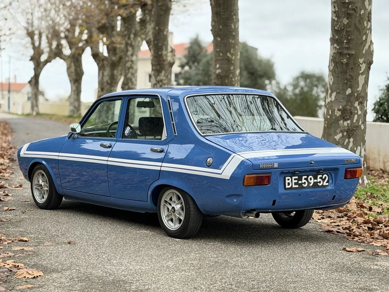 IMG_6179 2 – grande.jpeg