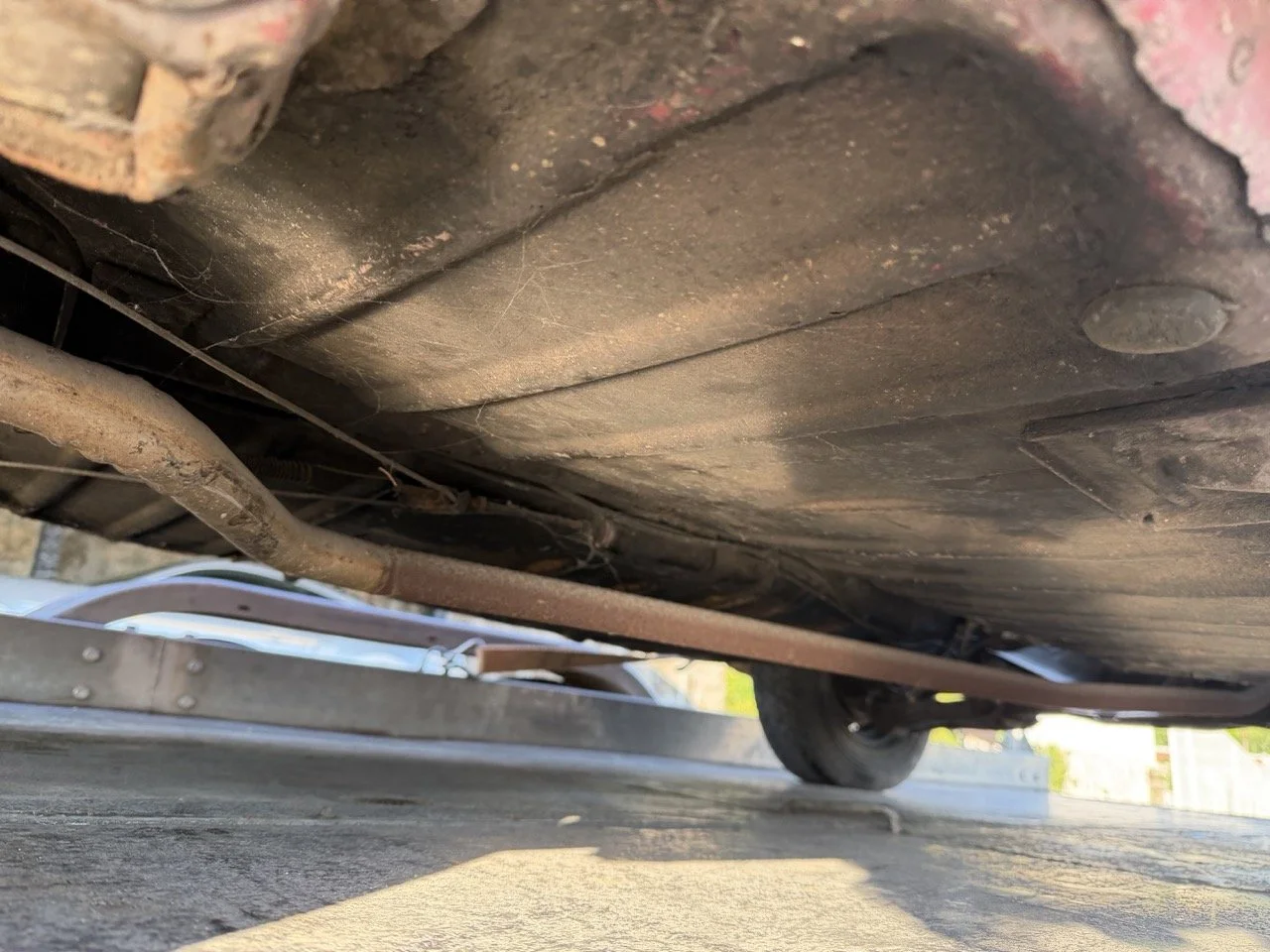 IMG_9072 – grande.jpeg