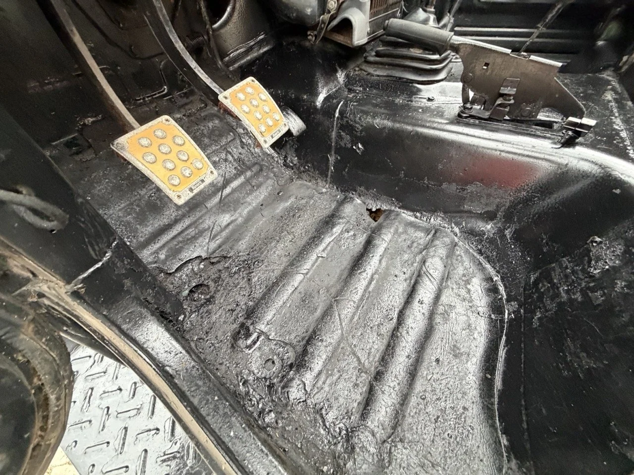 IMG_6540 – grande.jpeg