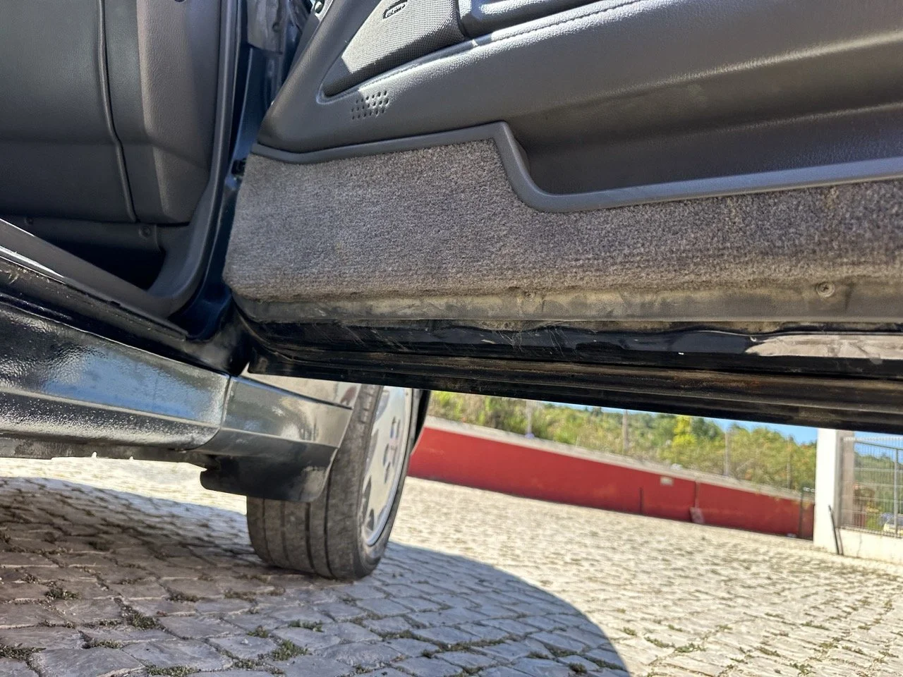 IMG_3104 – grande.jpeg