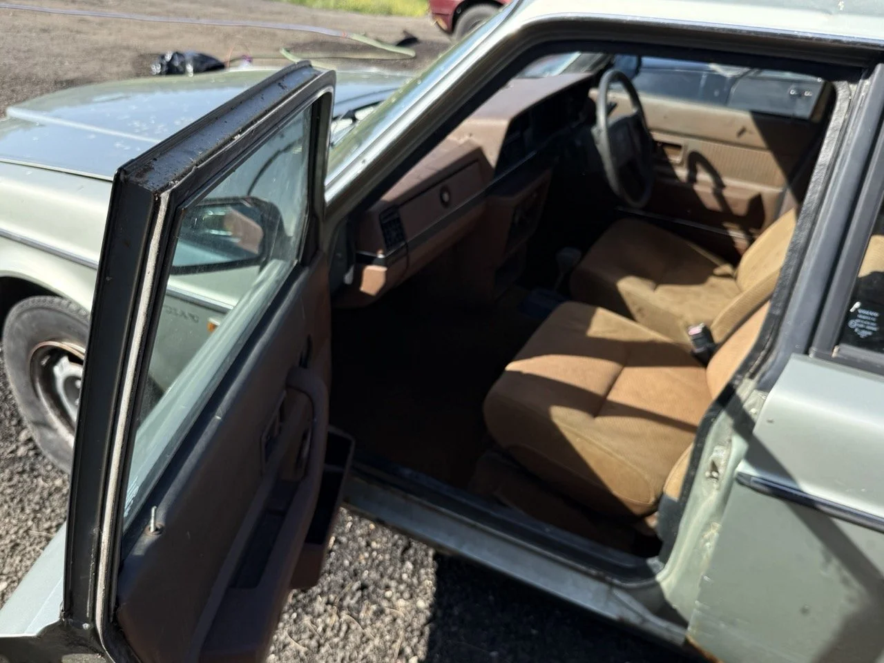 IMG_1172 – grande.jpeg