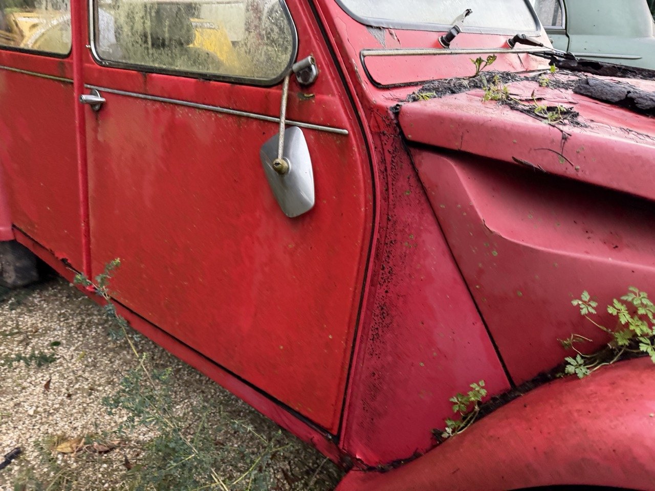 IMG_5499 – grande.jpeg