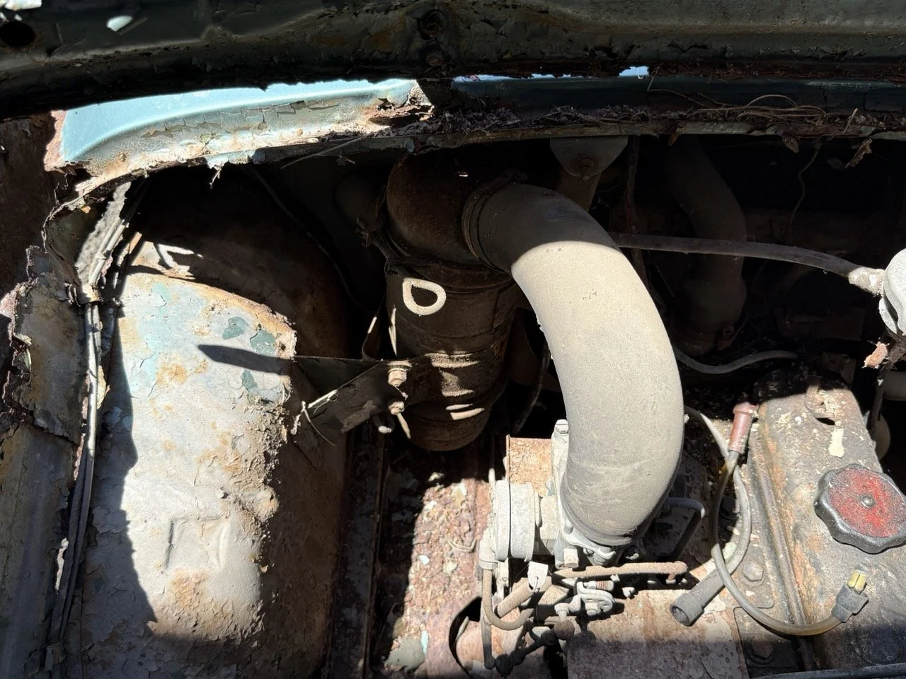 IMG_0872 – grande.jpeg