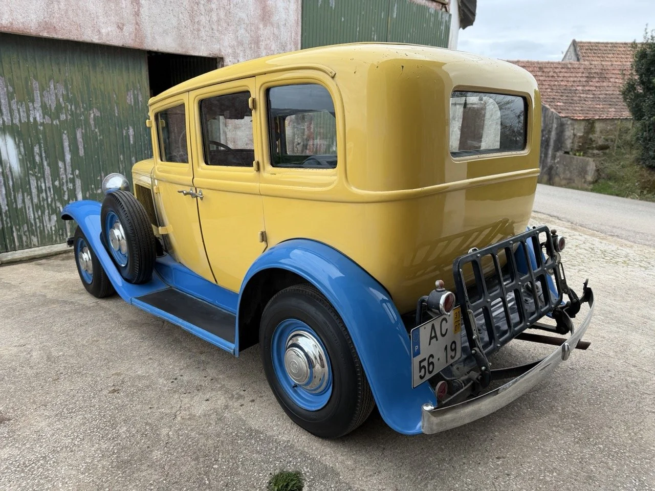 IMG_1501 – grande.jpeg