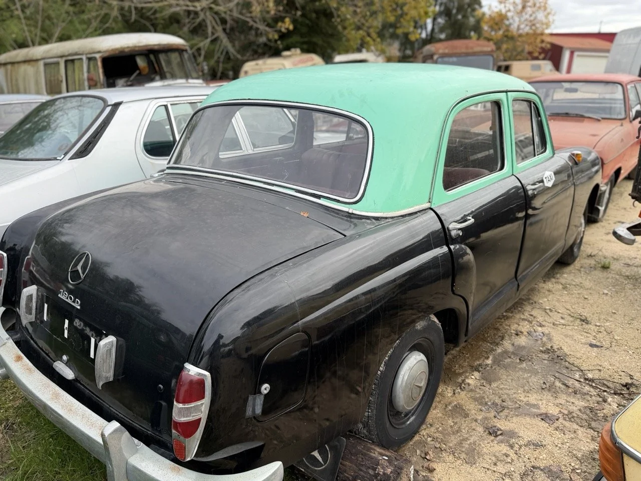 IMG_5011 – grande.jpeg