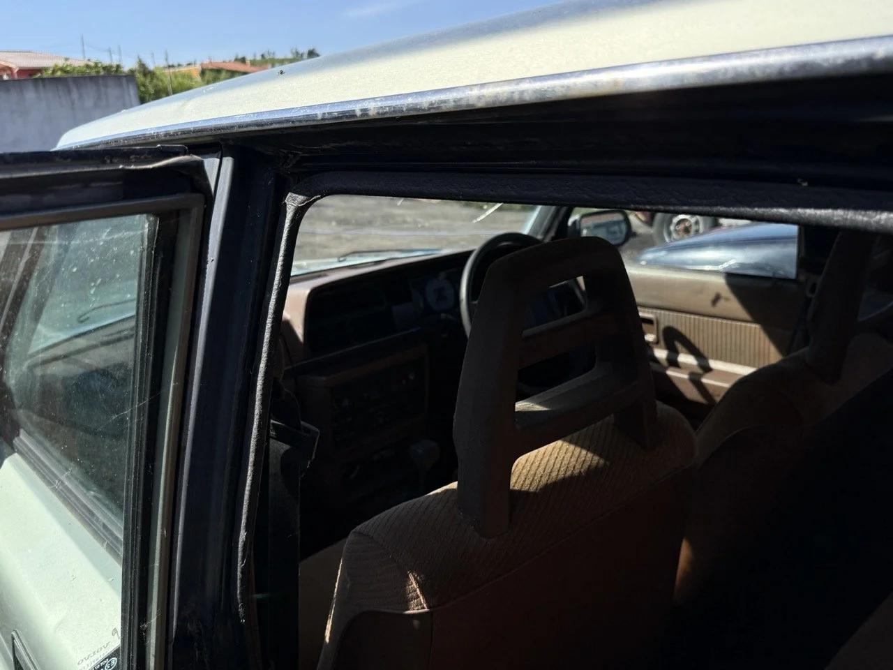 IMG_1183 – grande.jpeg