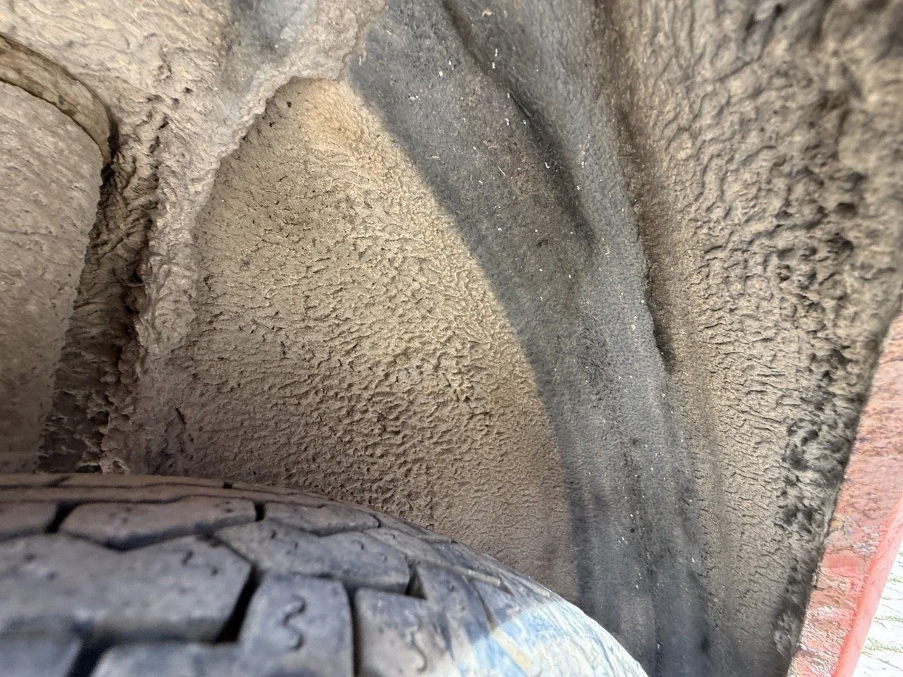 IMG_2381 – grande.jpeg