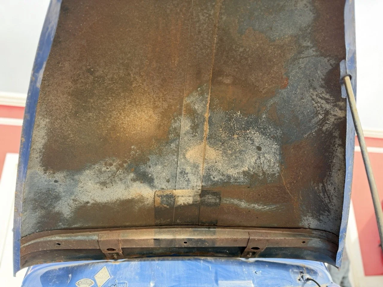 IMG_8124 – grande.jpeg