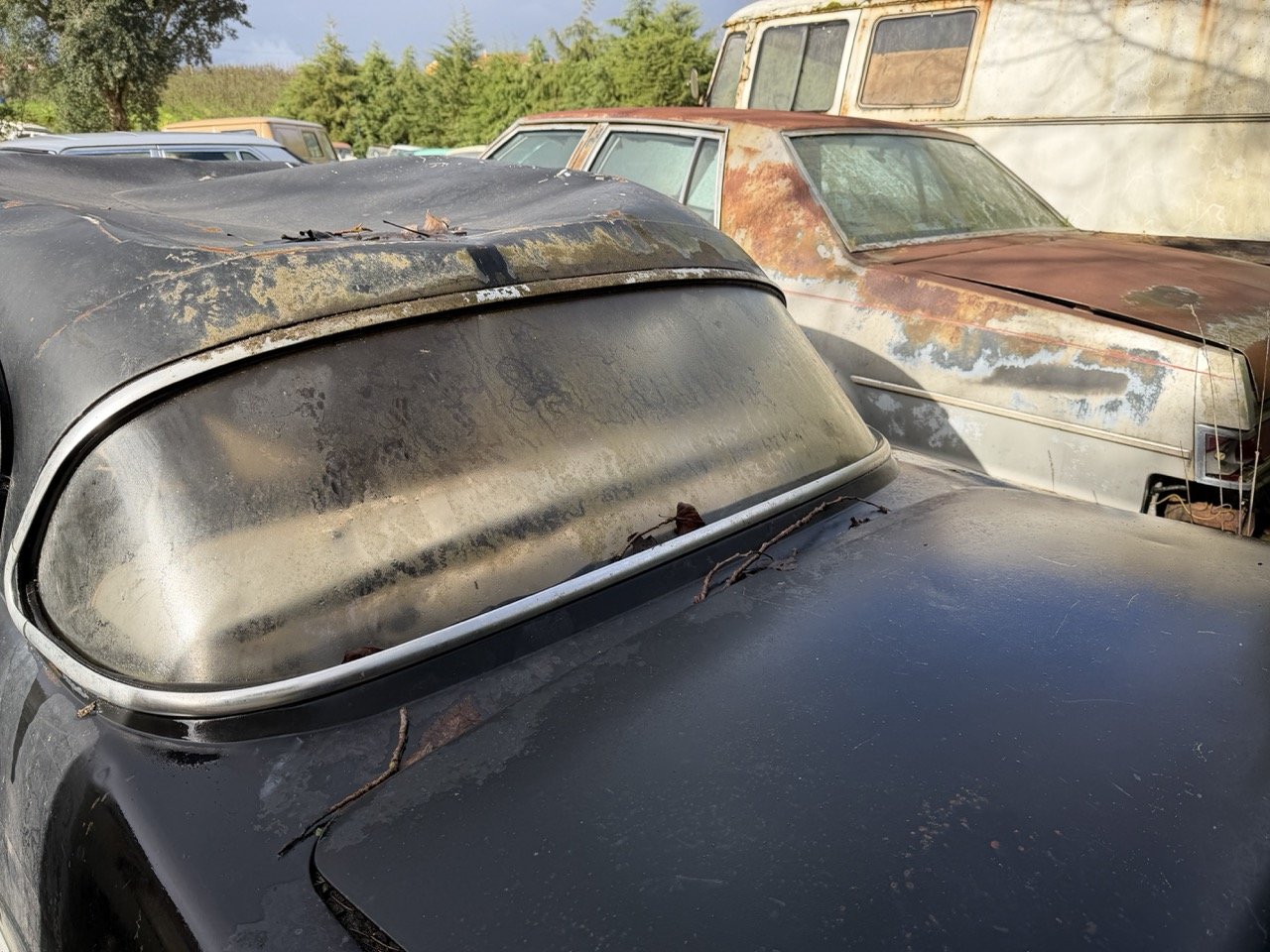 IMG_5076 – grande.jpeg