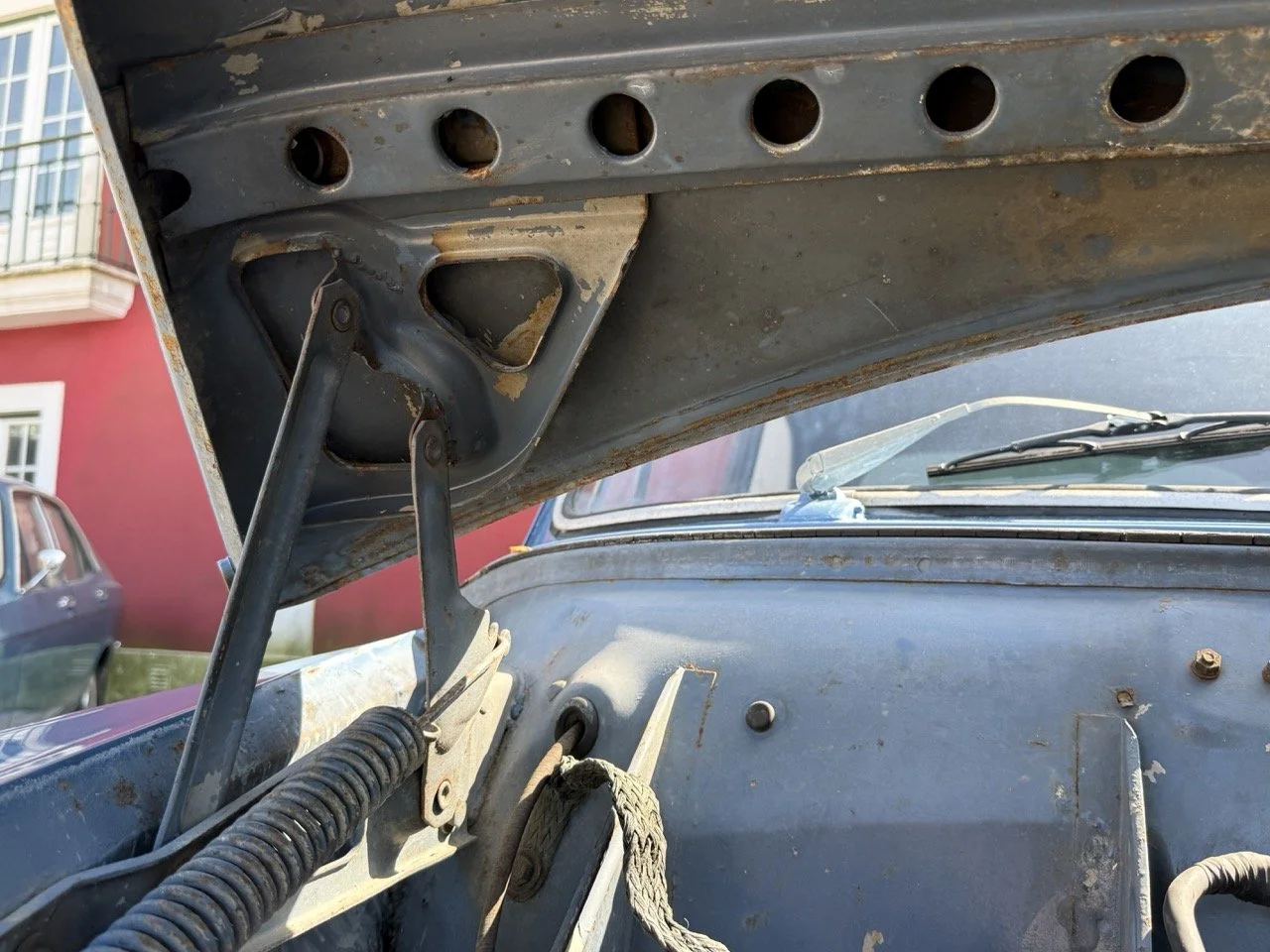 IMG_3524 – grande.jpeg