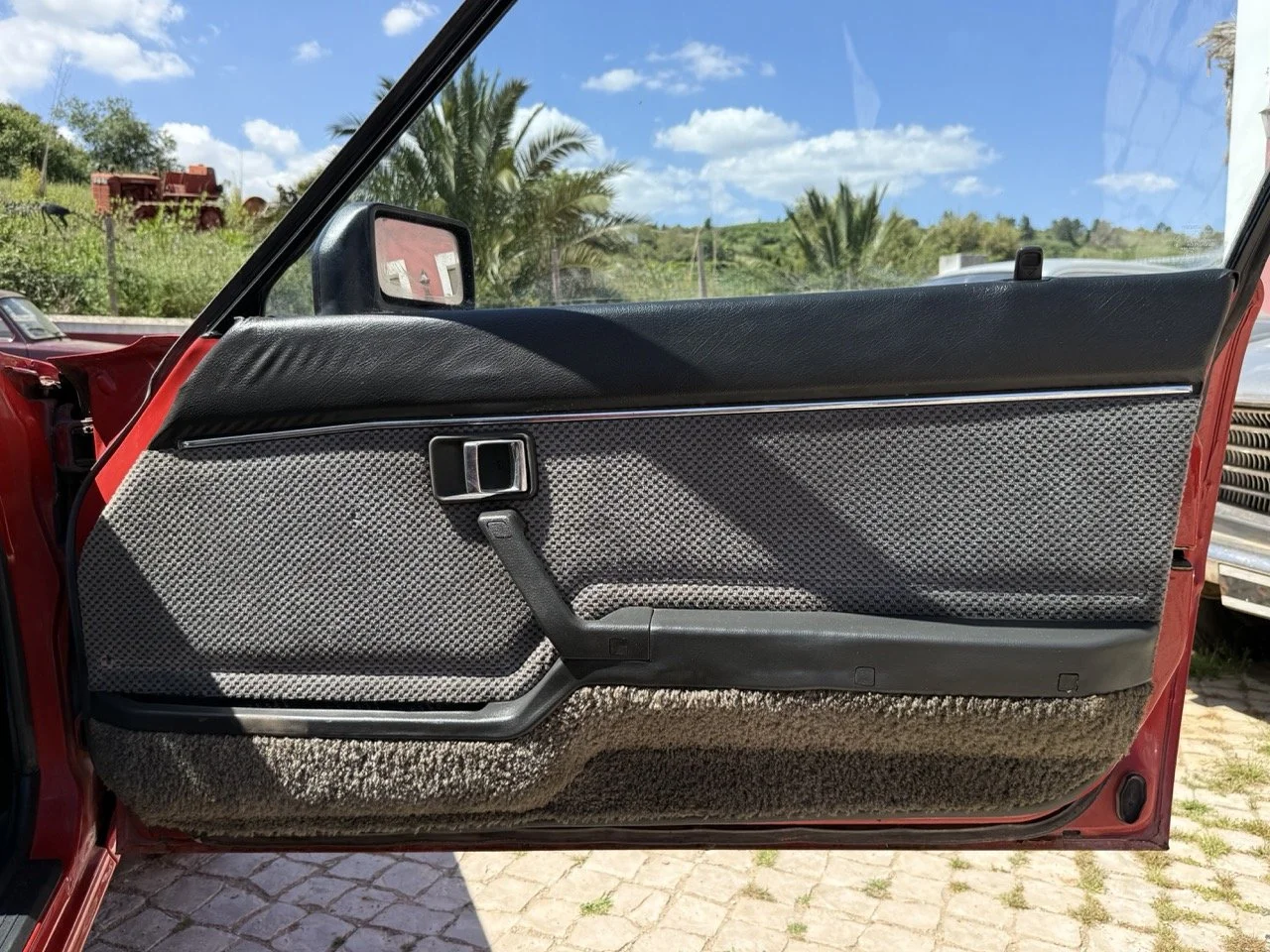 IMG_2080 – grande.jpeg