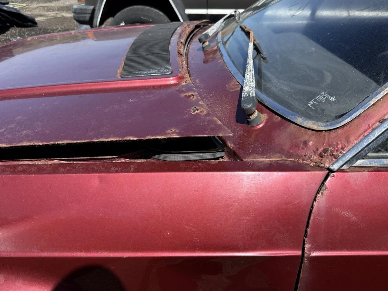 IMG_0955 – grande.jpeg