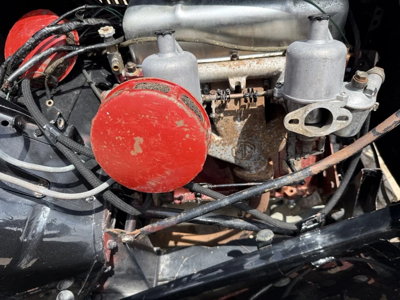 IMG_9573 – grande.jpeg