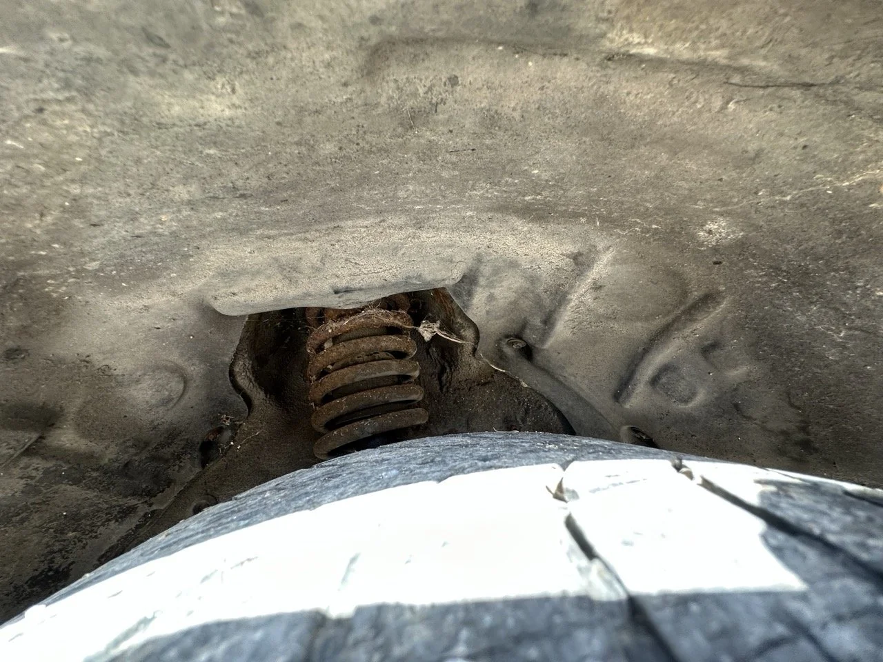 IMG_7256 – grande.jpeg