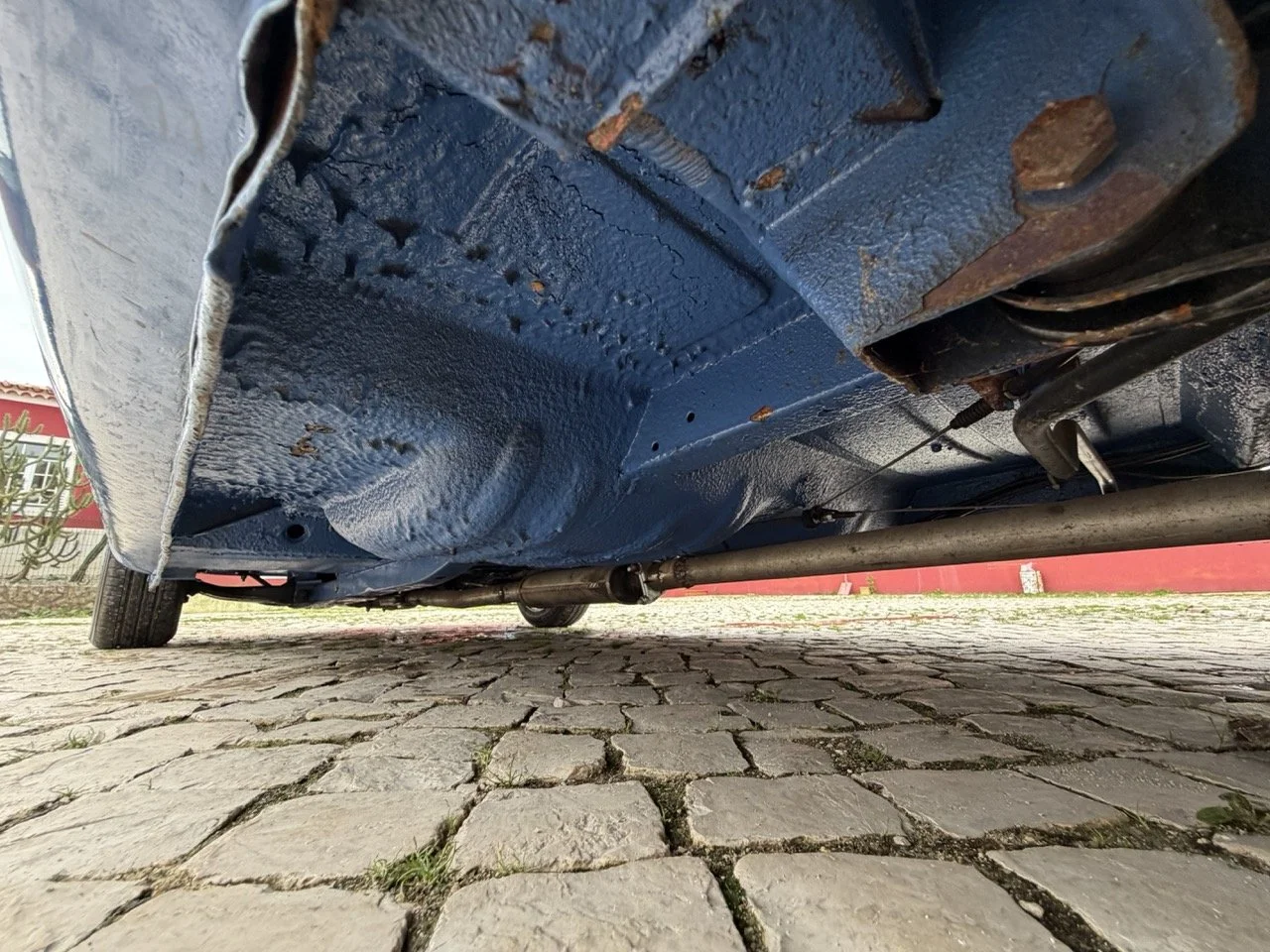 IMG_6114 – grande.jpeg