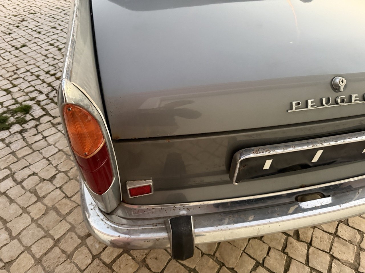 IMG_7530 – grande.jpeg