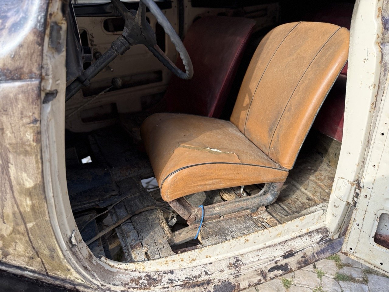 IMG_3686 – grande.jpeg