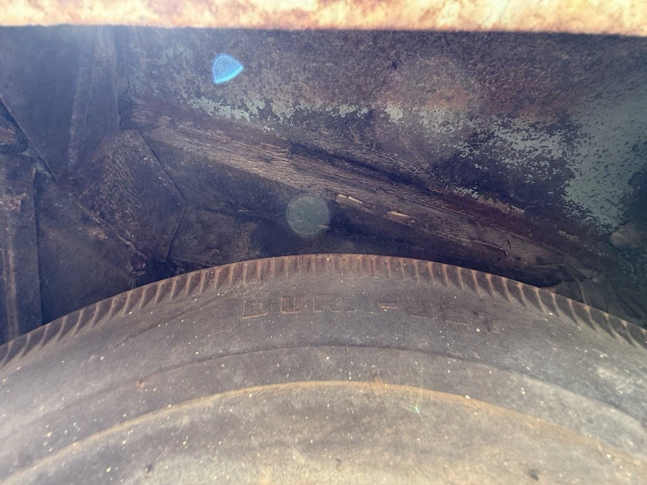 IMG_1411 – grande.jpeg