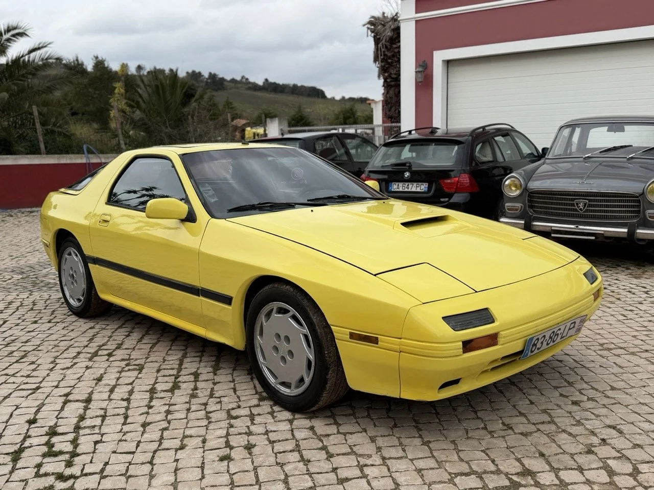 IMG_9691 – grande.jpeg