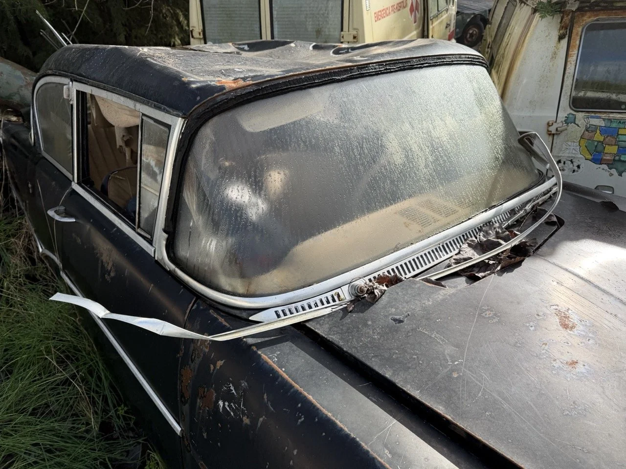 IMG_5037 – grande.jpeg