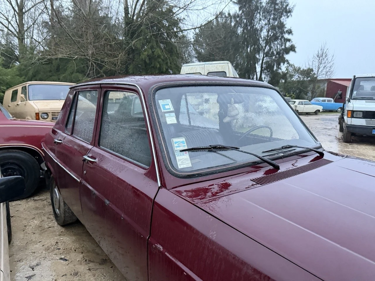 IMG_0298 – grande.jpeg