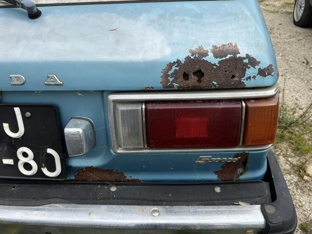 IMG_1539 – grande.jpeg