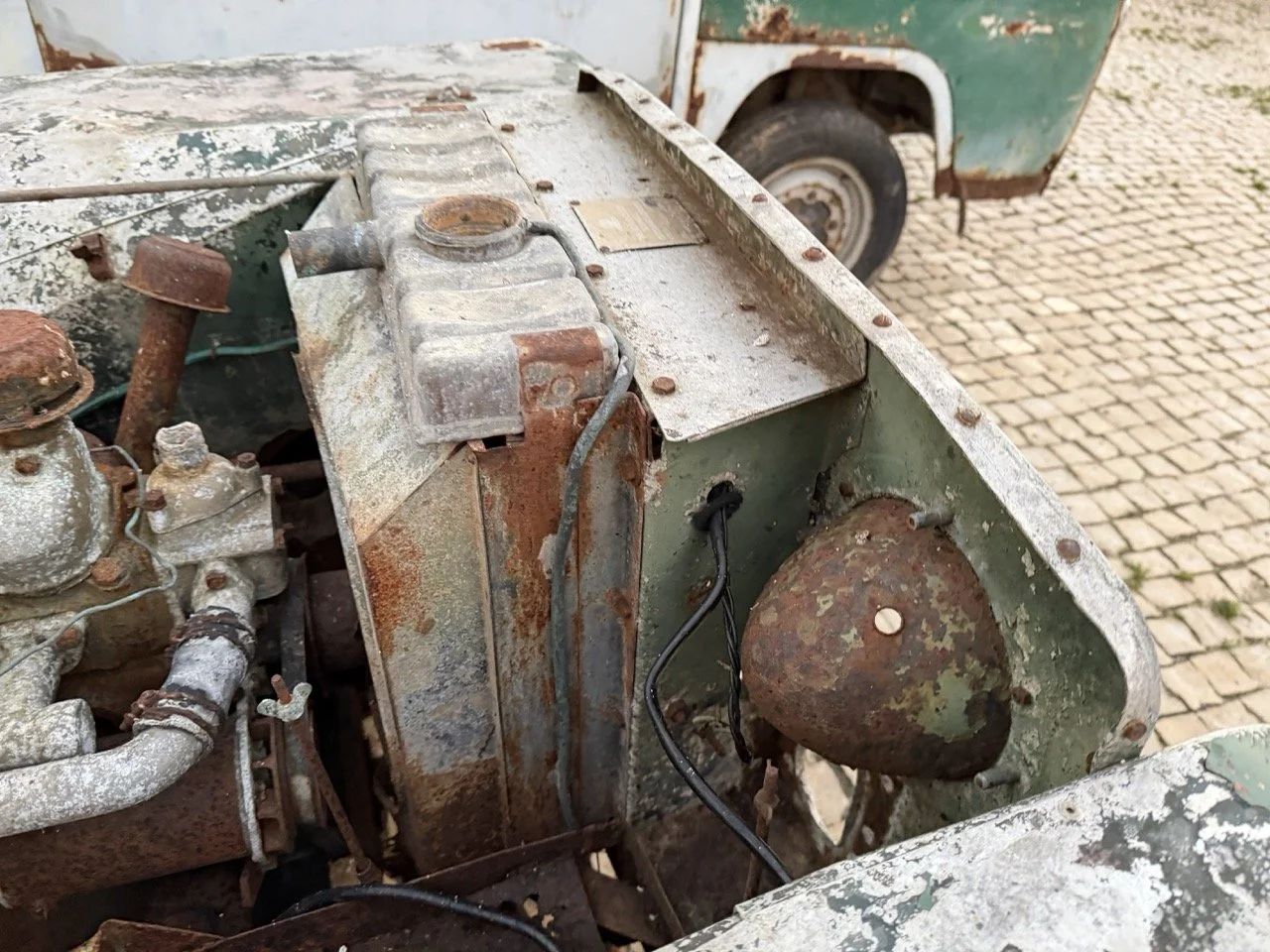 IMG_7441 – grande.jpeg