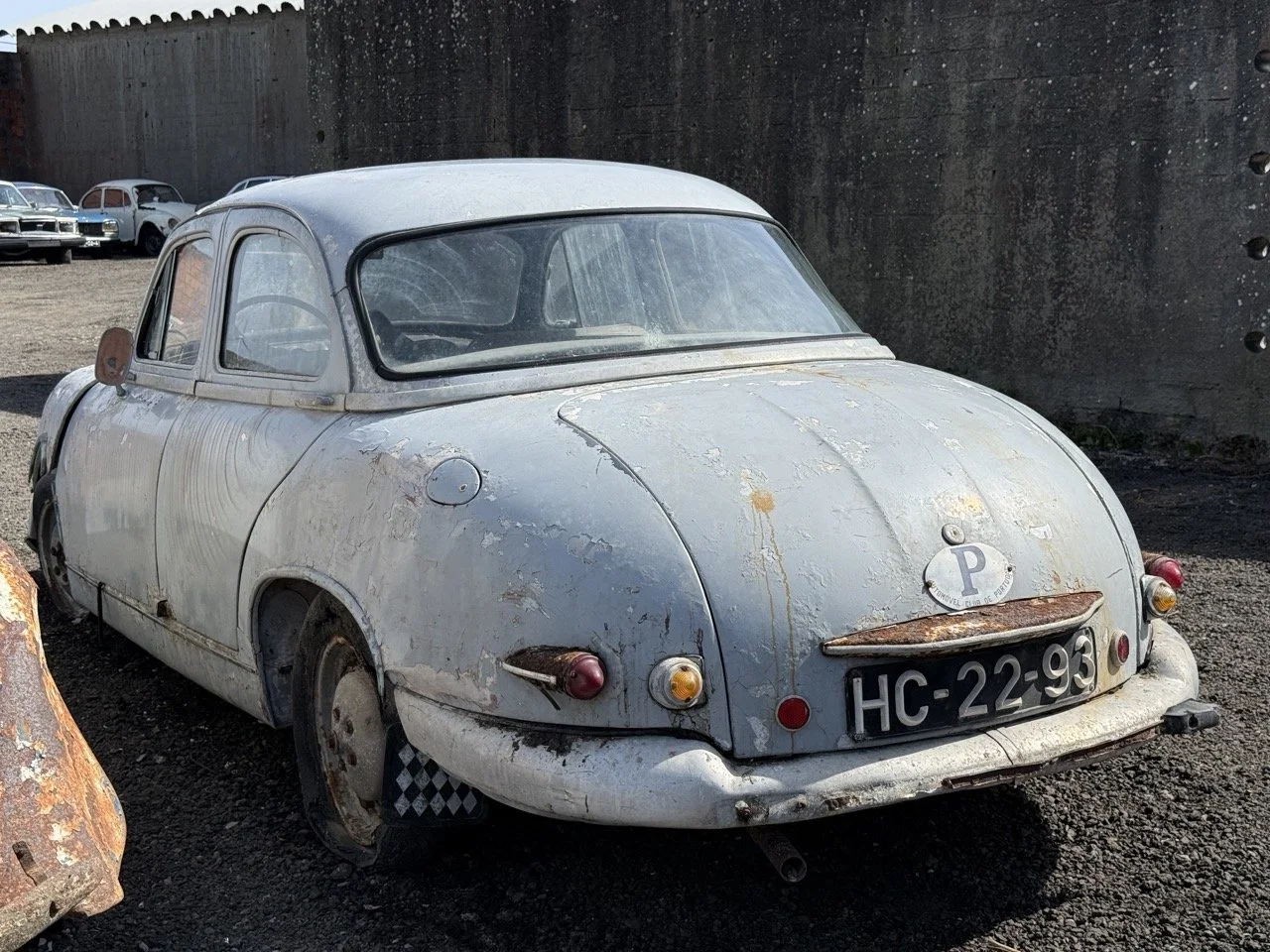 IMG_0318 – grande.jpeg