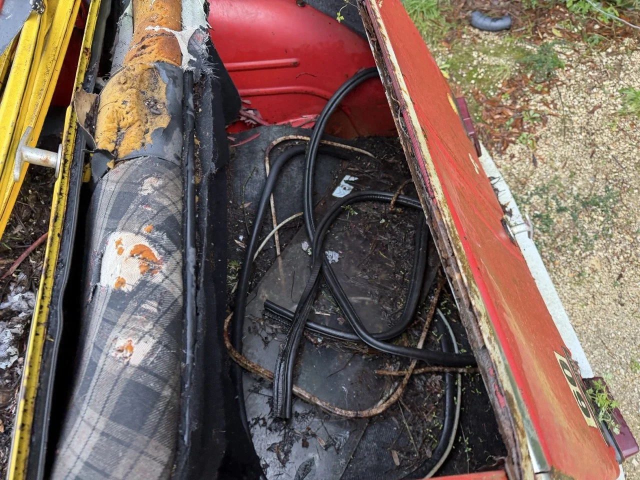 IMG_5478 – grande.jpeg