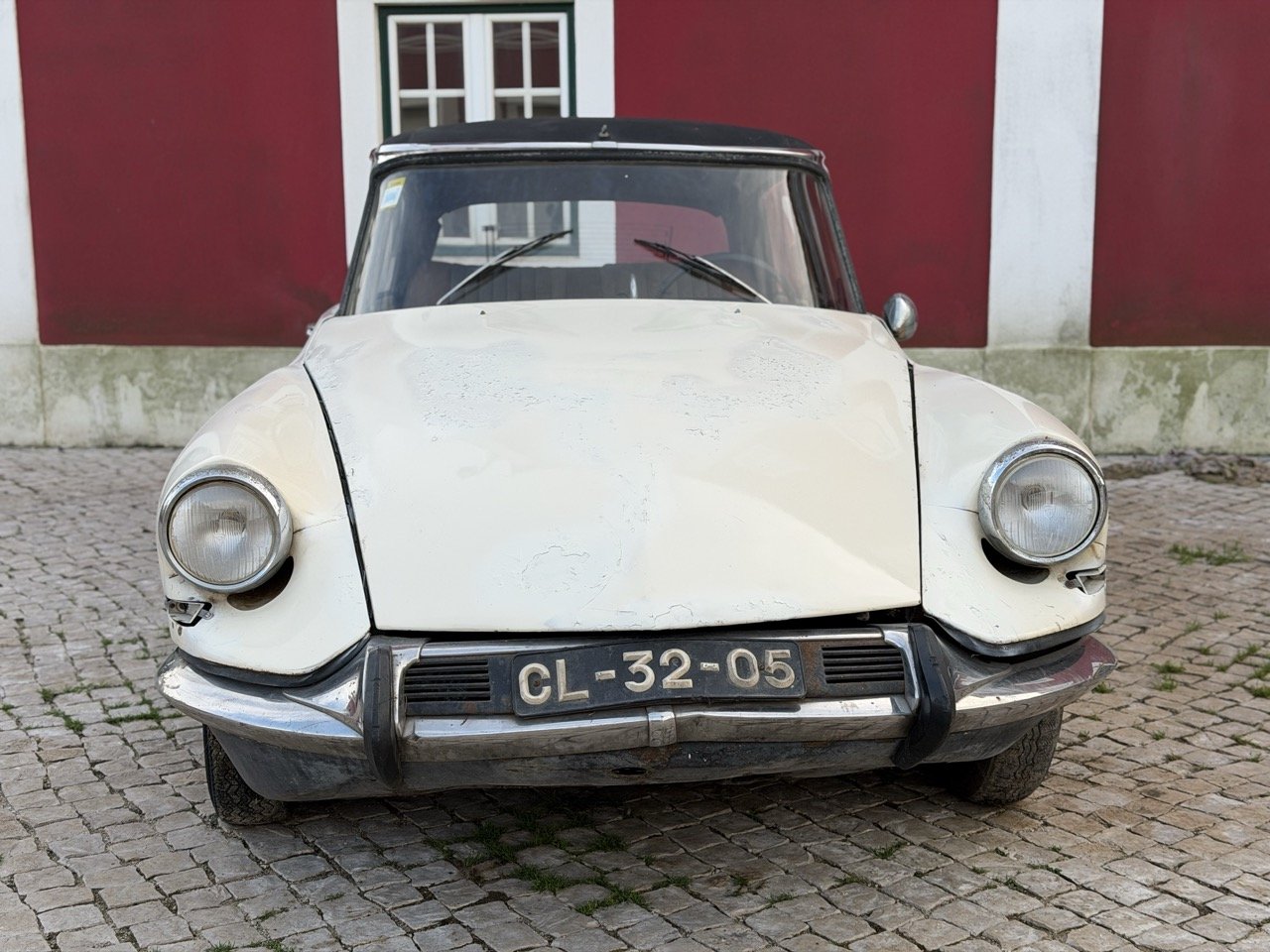 IMG_5921 – grande.jpeg